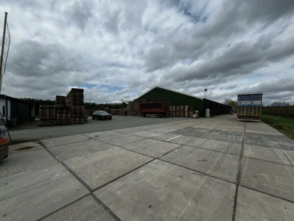 Opslagterrein met houten pallets, vrachtwagens en een loods aan de Graaf van Lynden van Sandenburgweg.